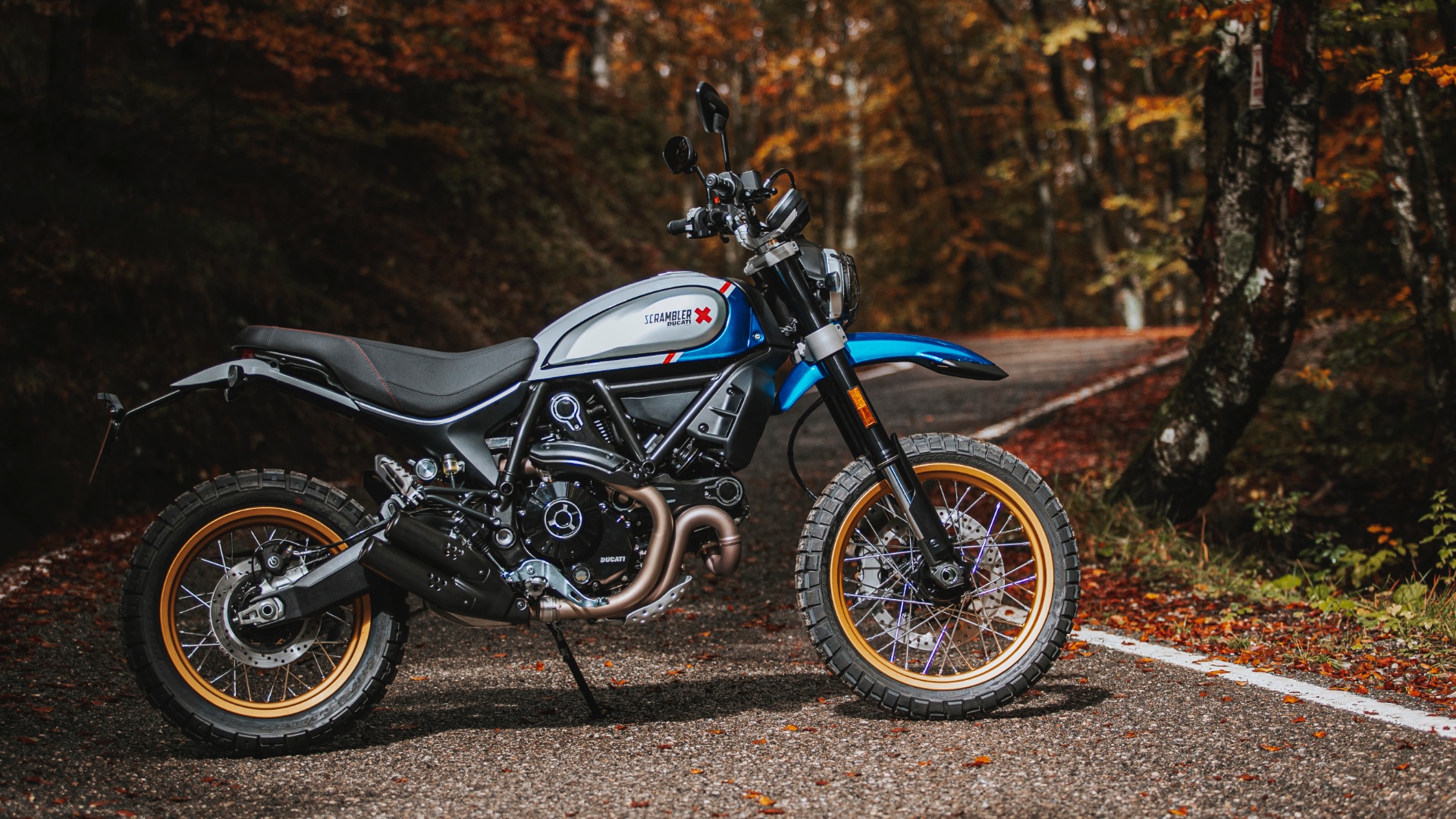 Ducati scrambler desert sled custom online